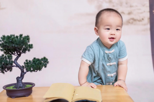 试管包生男孩哪家专业可爱的企鹅宝宝